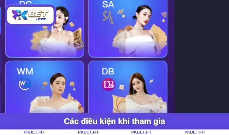 Điều Khoản Sử Dụng PKBET 3 Các điều kiện khi tham gia