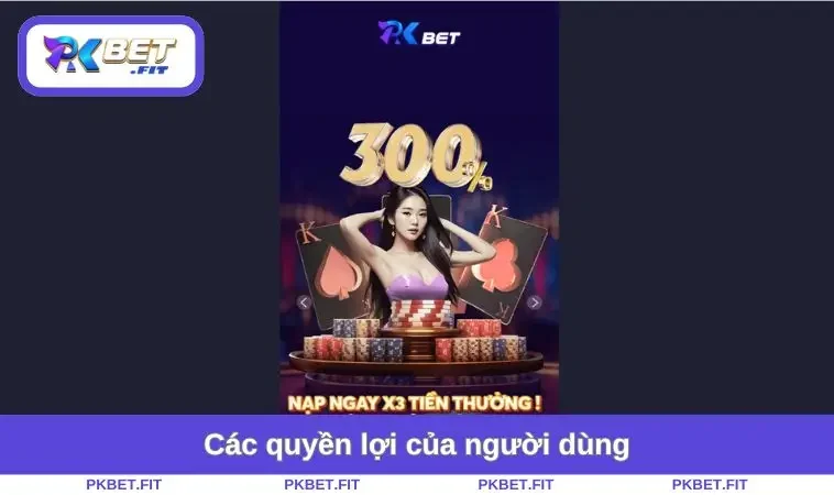Điều Khoản Sử Dụng PKBET 1 Các quyền lợi của người dùng