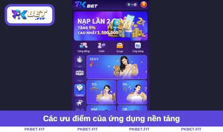 Các ưu điểm của ứng dụng nền tảng