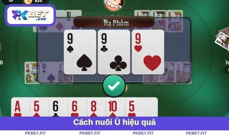 Cách Chơi Phỏm - Mẹo, Luật Và Chiến Thuật Bạn Cần Biết 3 Cách nuôi Ù hiệu quả