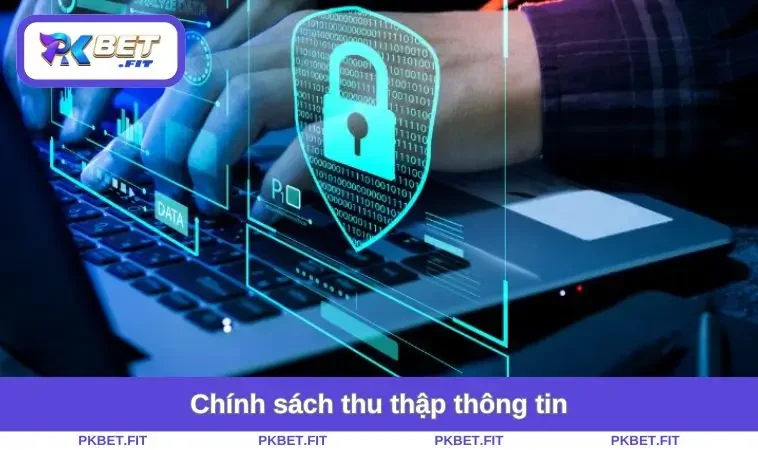 Chính Sách Bảo Mật PKBET 1 Chính sách thu thập thông tin