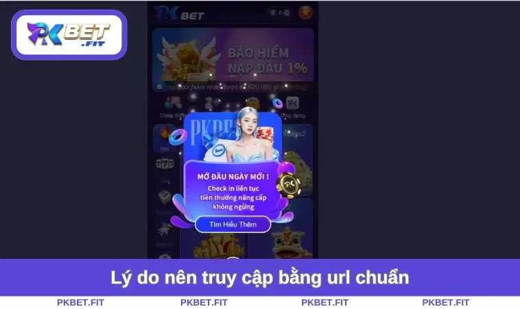 Link Vào PKBET Không Bị Chặn - Cách Chơi Bị Không Gián Đoạn 1 Lý do nên truy cập bằng url chuẩn