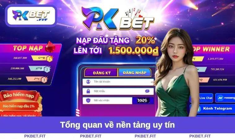 Tổng quan về nền tảng uy tín